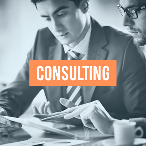 Consulting